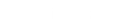 Theflexonic